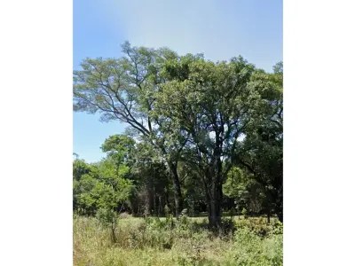 Terreno en venta en San Juan del Paraná, Itapúa 4