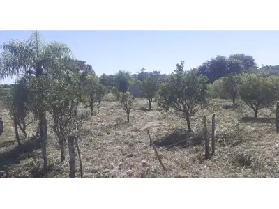 Land for sale in San Juan del Paraná, Itapúa 2