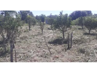 Land for sale in San Juan del Paraná, Itapúa 3
