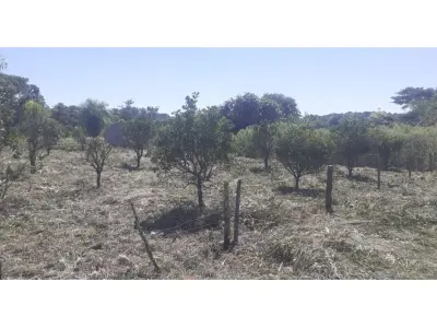 Land for sale in San Juan del Paraná, Itapúa 4
