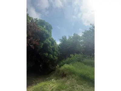 Terreno à venda em San Lorenzo, 348 m² 3