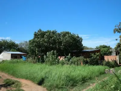 Terreno en venta en San Lorenzo, zona Shopping 2
