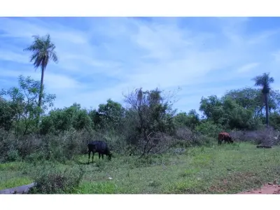 Terreno en venta en San Miguel, Caacupé 4
