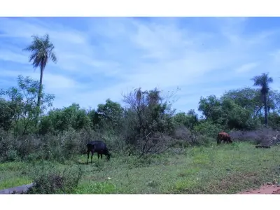 Terreno en venta en San Miguel, Caacupé 2