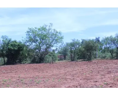 Terreno à venda em San Miguel, Caacupé 4