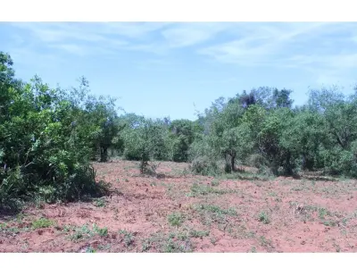 Terreno en venta en San Miguel, Caacupé, 360 m² 2