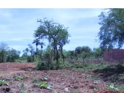 Land for sale in San Miguel, Caacupé 3