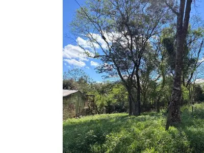 Land for sale in San Miguel, Cambyretá 3