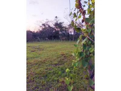 Terreno à venda em San Miguel, Itauguá, com vista para o lago 4