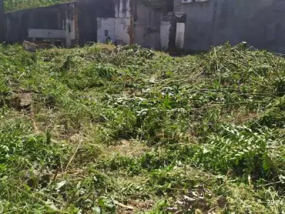 Terreno à venda em San Miguel, San Lorenzo 3