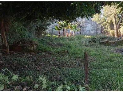 Terreno à venda em San Pedro, Encarnación 5
