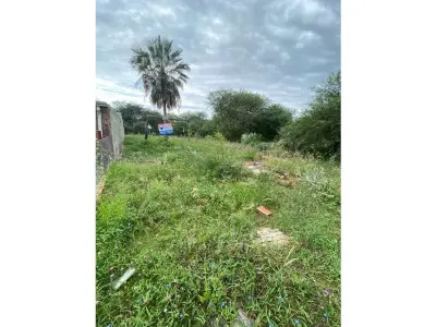 Terreno en venta en San Ramón, Doctor José Falcón 4