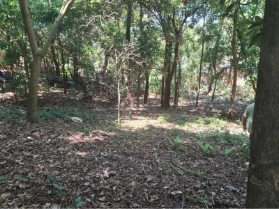 Terreno à venda em San Roque, Ciudad del Este 2