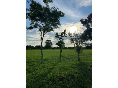 Terreno en venta en Santa Elena Country, Hernandarias 5