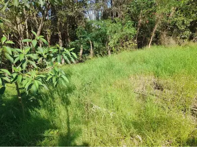 Land for sale in Santa María Santillán, Encarnación 4
