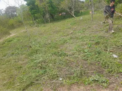 Land for sale in Santa Rosa del Aguaray, San Pedro 4