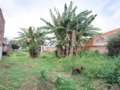 Terreno à venda em Santa Rosa II, Lambaré 4