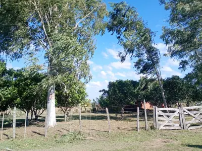 Terreno à venda em Santo Tomás (Mbatoví), Paraguarí 2