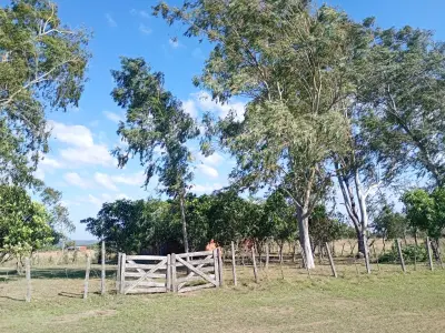 Terreno à venda em Santo Tomás (Mbatoví), Paraguarí 3
