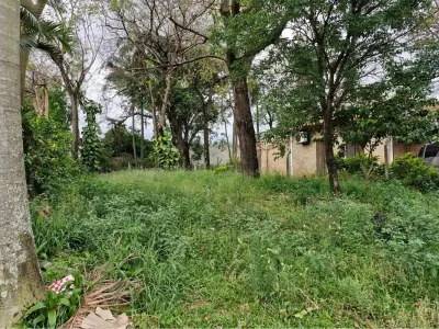 Terreno à venda em Sol de América, Villa Elisa 4