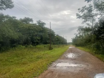 Terreno à venda em Surubi-Y, Mariano Roque Alonso 2