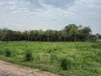 Terreno à venda em Surubí-y, Mariano Roque Alonso 2