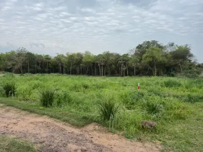 Terreno à venda em Surubí-y, Mariano Roque Alonso 3