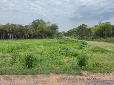 Terreno à venda em Surubí-y, Mariano Roque Alonso 4
