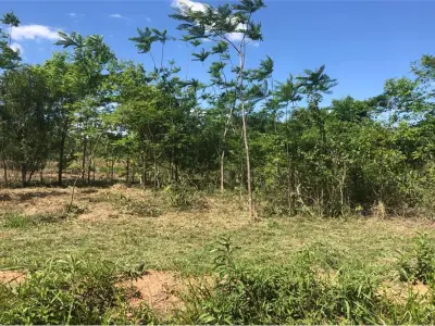Terreno à venda em Surubii, Mariano Roque Alonso 2