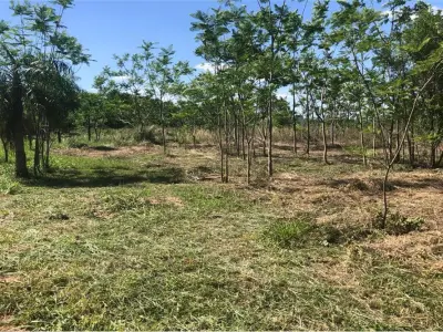 Terreno à venda em Surubii, Mariano Roque Alonso 3