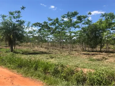Terreno à venda em Surubii, Mariano Roque Alonso 4