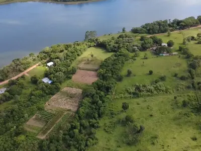 Land for sale in Tacuaro, Juan Emilio O'Leary, Alto Paraná 4