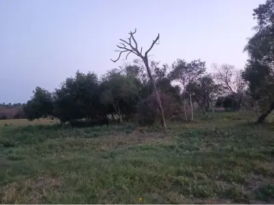 Terreno à venda em Takuruty, Villeta 3