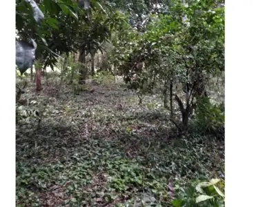Terreno à venda em Tape Tujá, Itá, Central 3