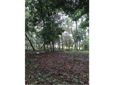 Terreno à venda em Tape Tujá, Itá, Central 4