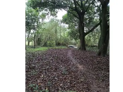 Terreno à venda em Tape Tujá, Itá, Central 5