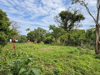 Terreno en venta en Tarumandy, Luque 3