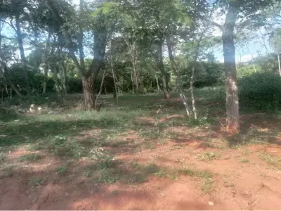Terreno à venda em Tarumandy, Luque 3