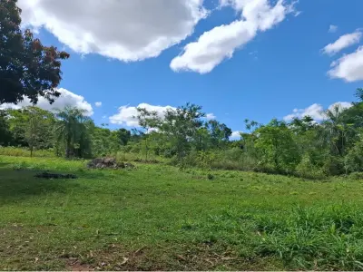 Terreno à venda em Tarumandy, Luque 3