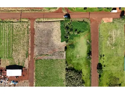 Land for sale in Tavapy, Alto Paraná 4
