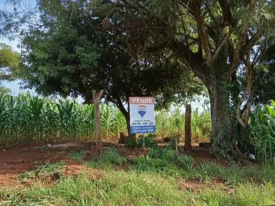 Terreno en venta en Trinidad, Itapúa: 3 hectáreas productivas 2