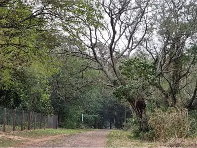 Terreno à venda em condomínio fechado em Surubi'i, Mariano Roque Alonso 4