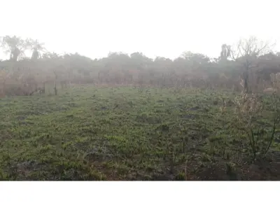 Terreno à venda na Urbanización El Cortijo, San Bernardino 4