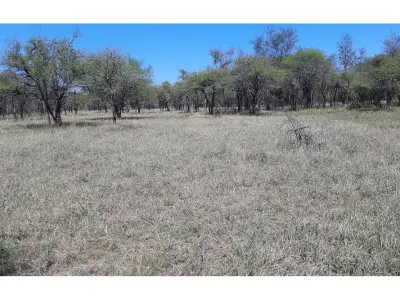 Terreno en venta en Urbanización Los Palmares I, José Falcón 3