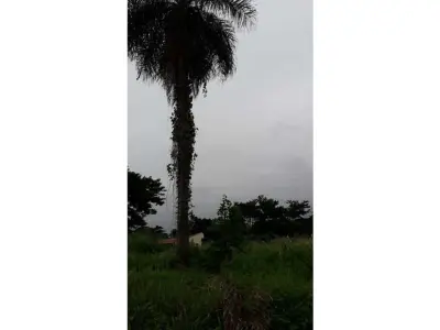 Terreno à venda em Villa del Agrónomo, San Lorenzo 4