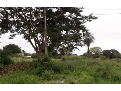 Terreno à venda em Villa del Agrónomo, San Lorenzo 2