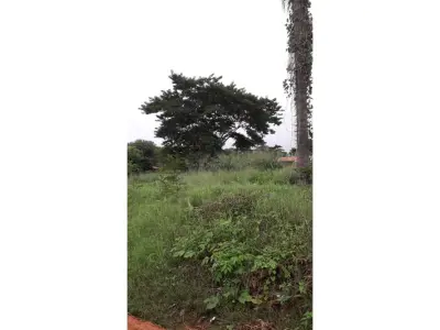 Terreno à venda em Villa del Agrónomo, San Lorenzo 3