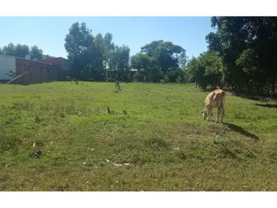 Land for sale in Villa Florida, Misiones 3