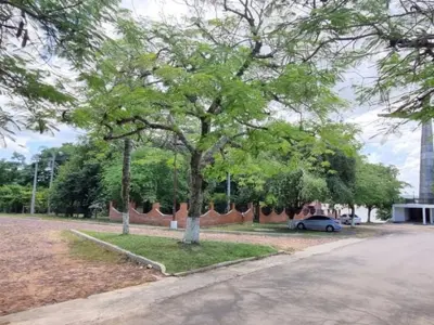 Land for sale in Villa Florida, Misiones 4