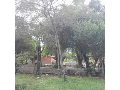 Terreno en venta en Villa Hayes, Presidente Hayes 4